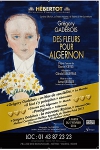 Des fleurs pour Algernon