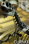 A la découverte des dinosaures