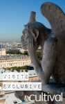 Exclusive visit - the Towers of Notre Dame Cathedral (after opening hours)