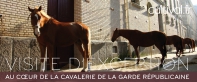 Au coeur de la Cavalerie de la Garde Républicaine