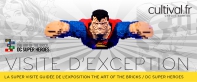 La Super visite guidée de l’expo LEGO® DC Heroes