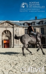 Les secrets de la Grande Ecurie de Versailles