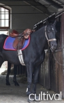 Following in the footsteps of the French Horses Guard